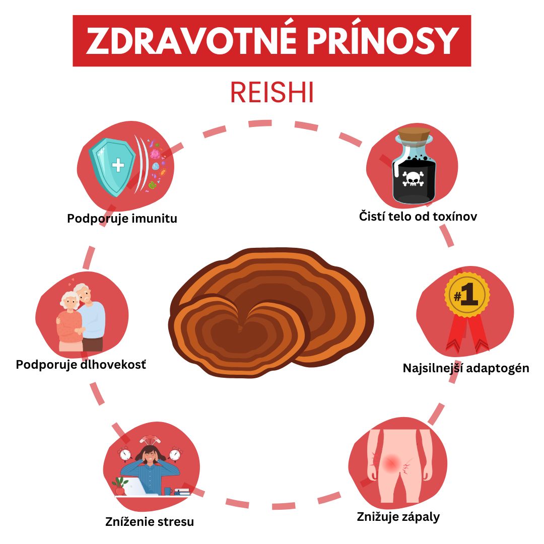 Zdravotné prínosy Reishi